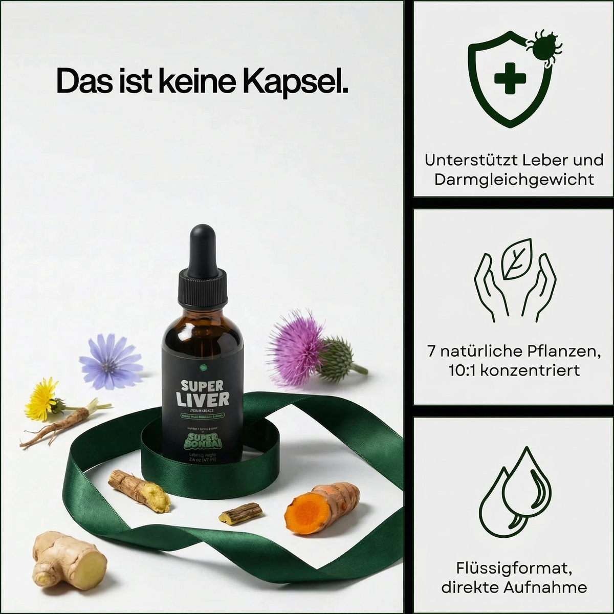 Super Liver — Unterstützung für Leber & Darm