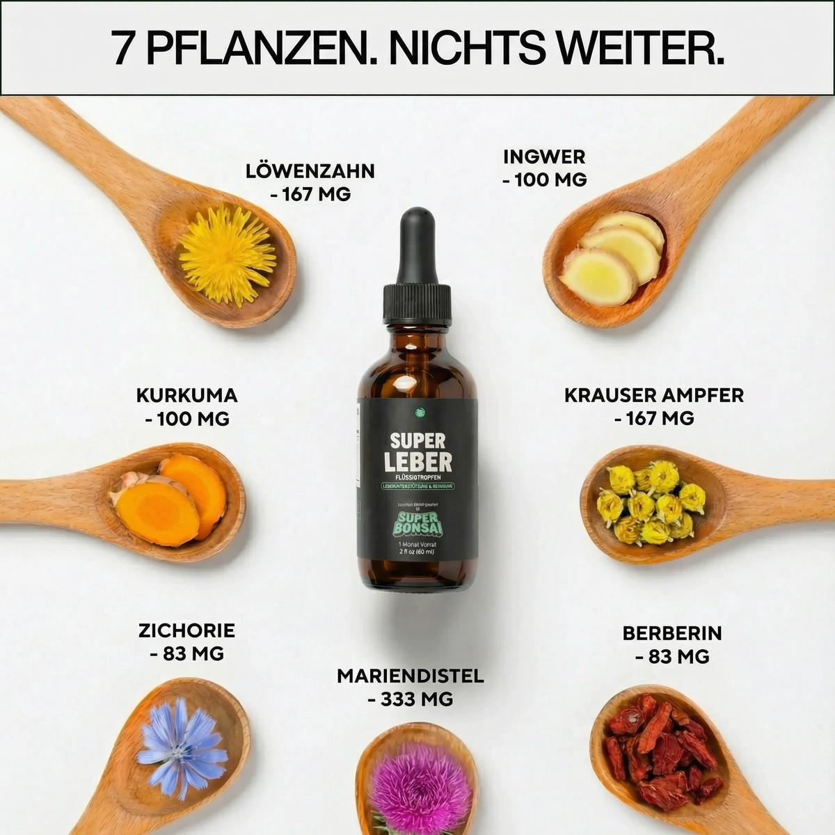 Super Liver — Unterstützung für Leber & Darm